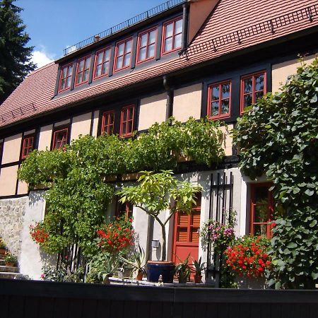 Winzerhaus Rissweg 15 Βίλα Δρέσδη Εξωτερικό φωτογραφία
