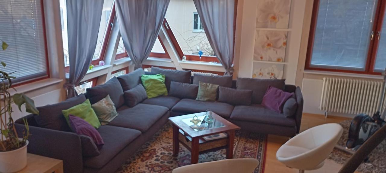 Winzerhaus Rissweg 15 Βίλα Δρέσδη Εξωτερικό φωτογραφία